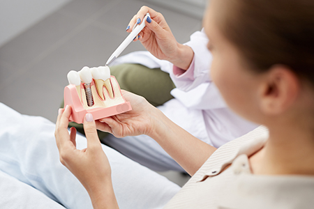 A dental hygienist holding a tooth model during an examination.